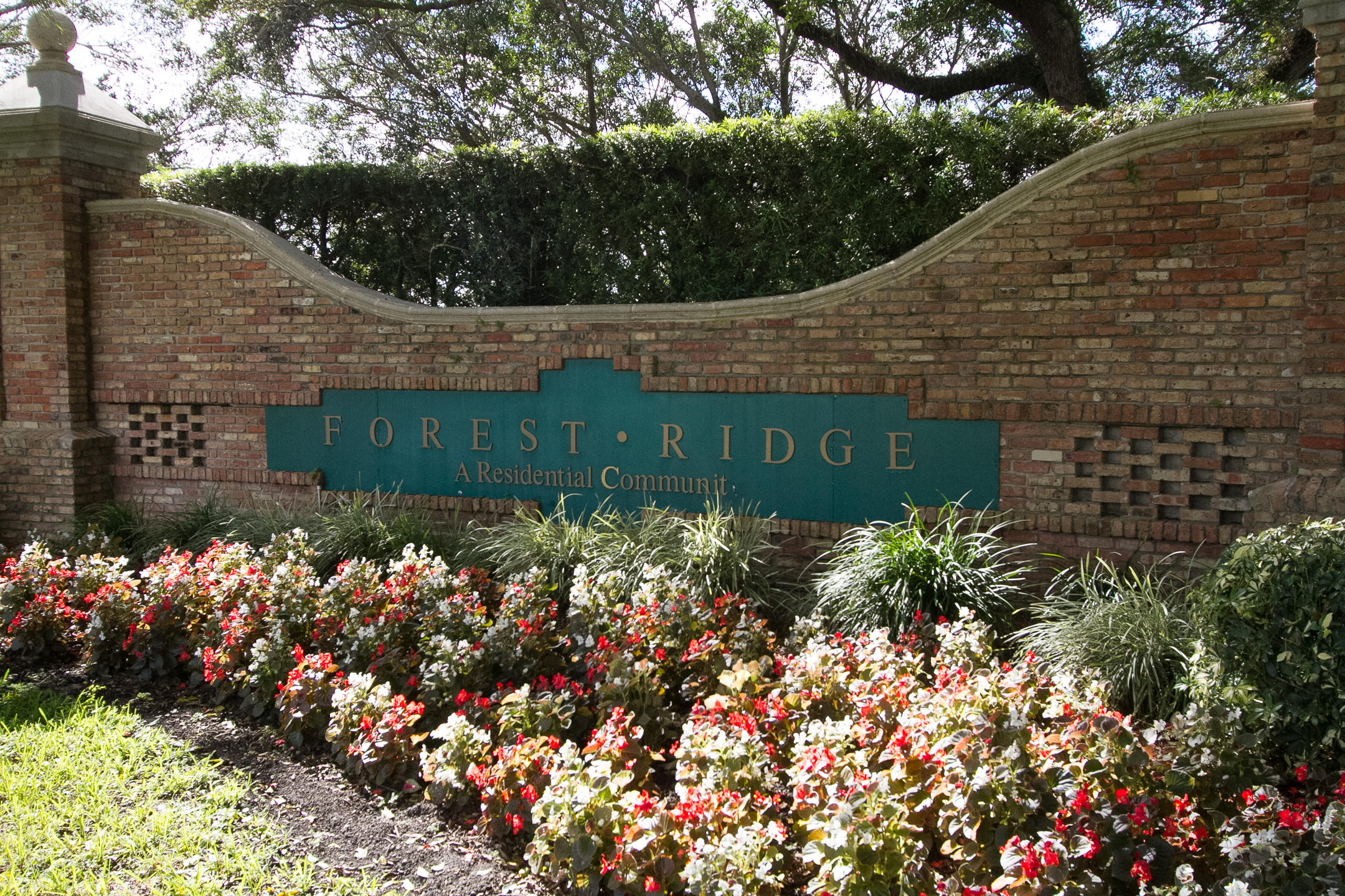 FOREST RIDGE - Residential