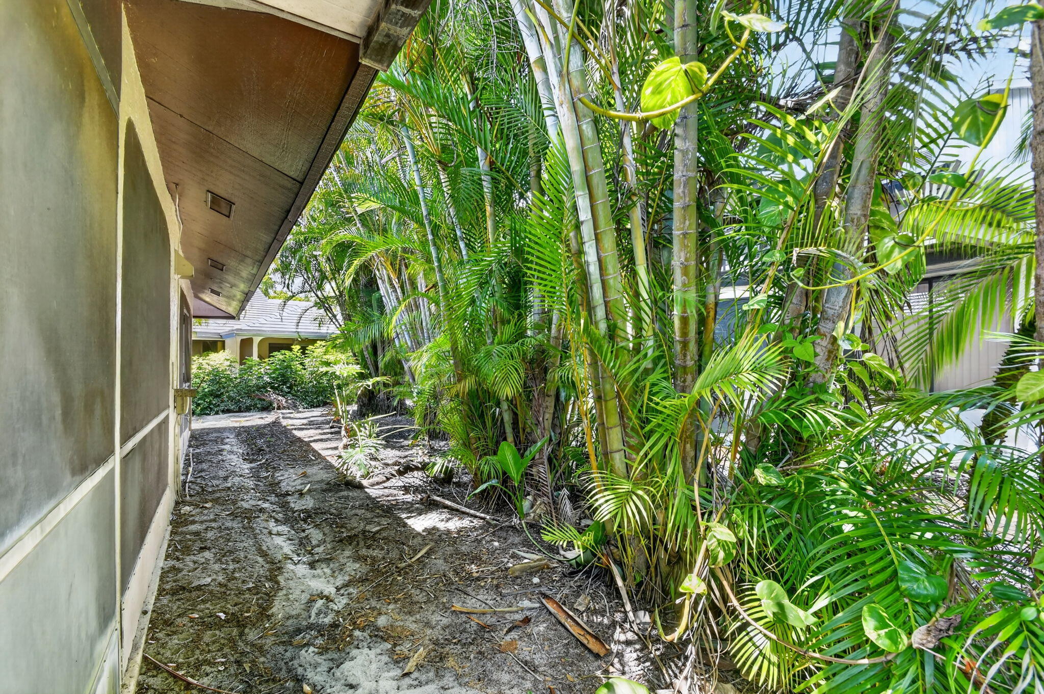 Banyan Springs Cedar Point - Residential