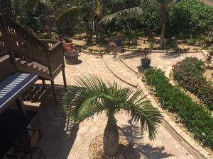 Tropical Beach - Residential Lease