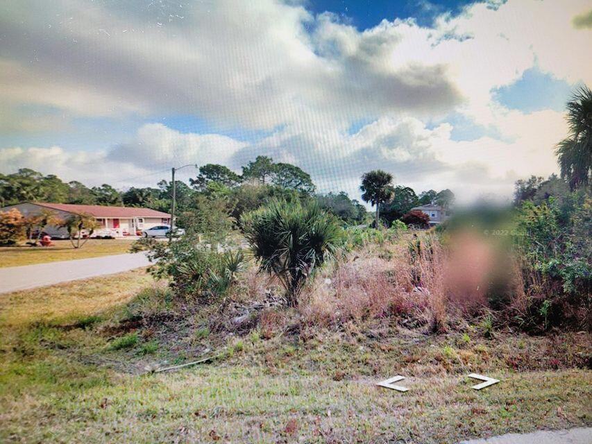 SOUTH PUNTA GORDA HGTS - Land