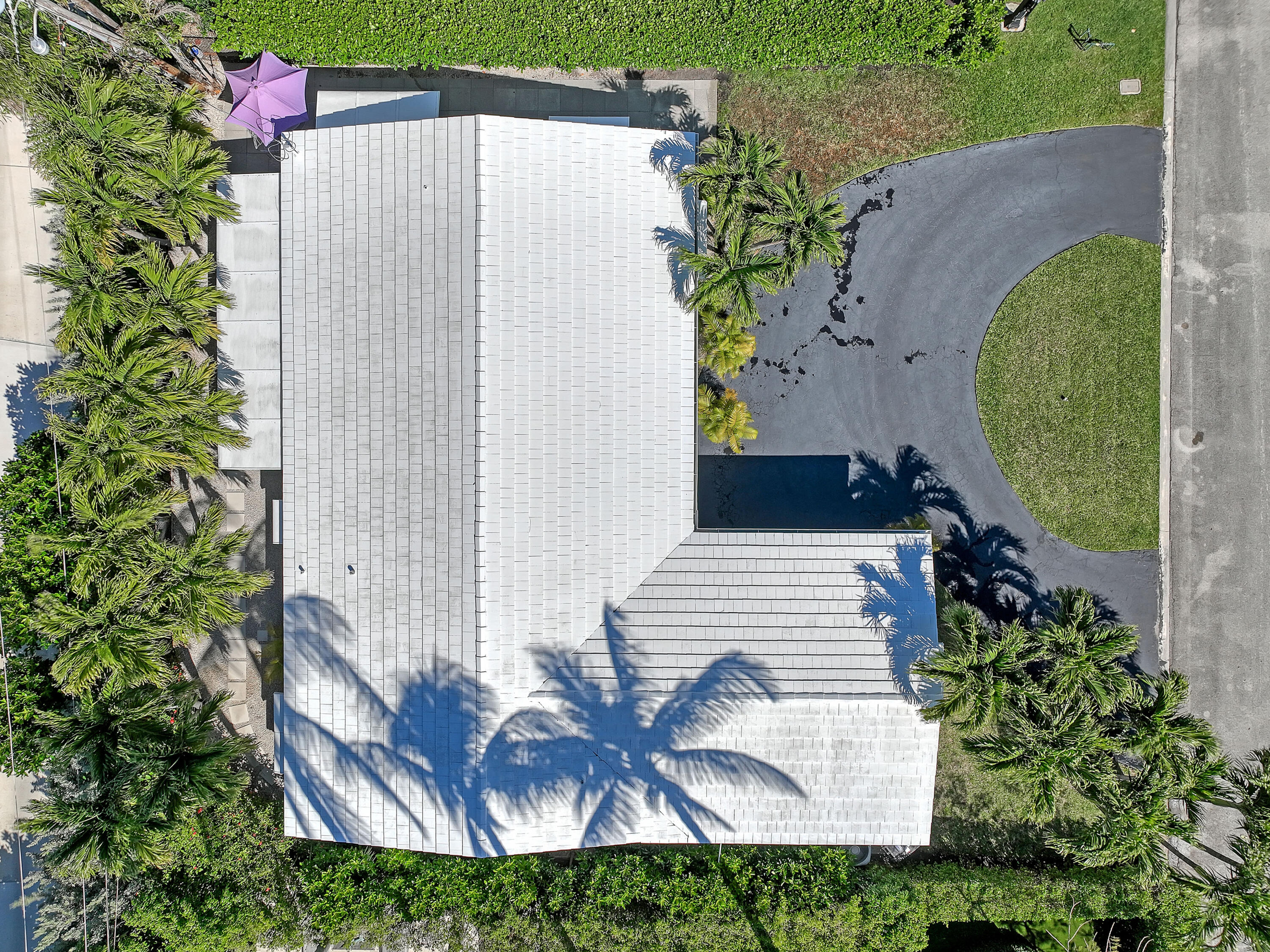 115 Elwa Place