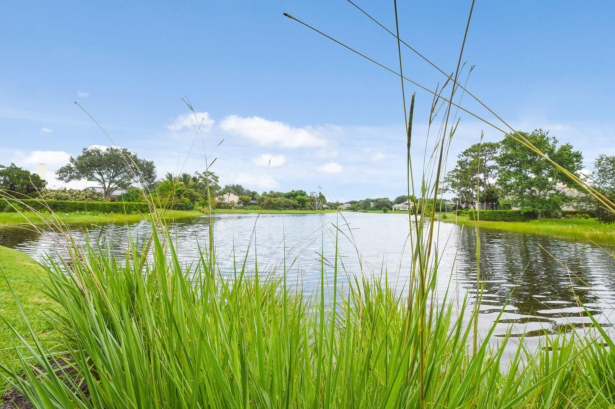 THE ARBORS (AKA FOREST GLADE) - Residential