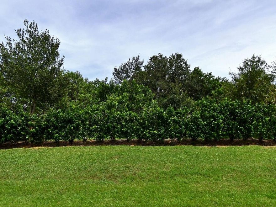 Quiet gated community with 48 lots.  You can use your preferred builder.  Lot is located on a dead end street.  Buy the lot out right or contract with seller to build your custom home on this lot.