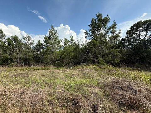 2921 W Seville Drive Avon Park FL 33825