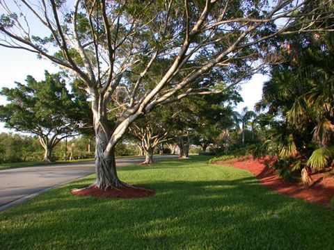 A home in Palm City