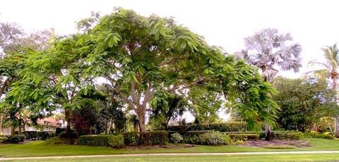 A home in Palm City