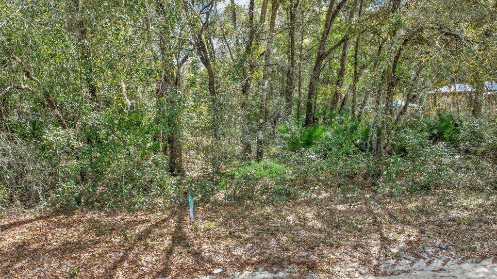 INTERLACHEN LAKES ESTATES - Land