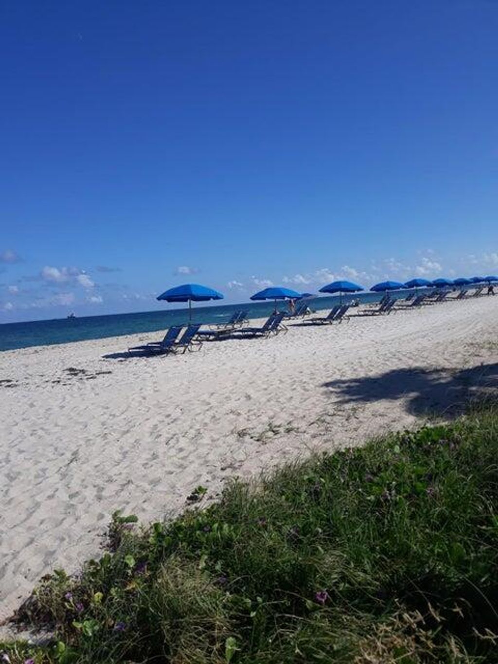 Photo of 720 Bayshore Drive #201, Fort Lauderdale, FL 33304 (MLS # B26005064)