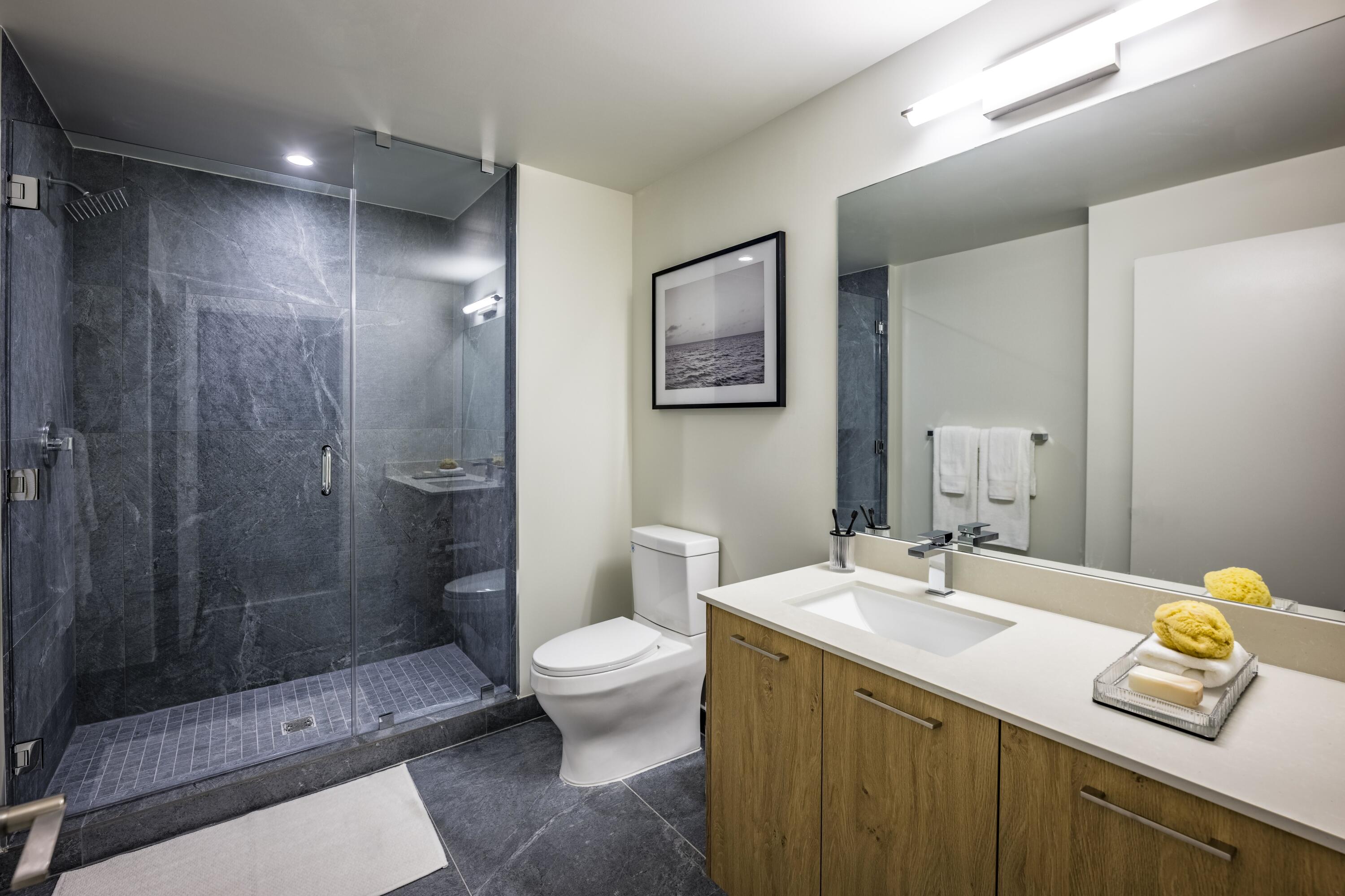 The Dorsey - Residential Lease