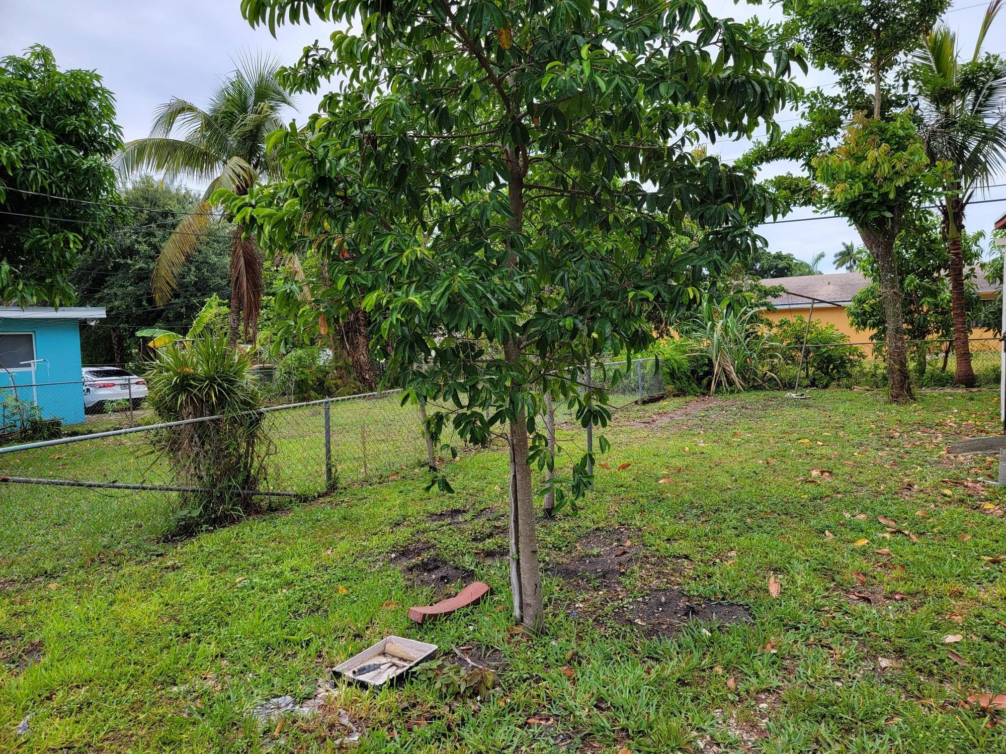 Academy Heights - Residential Lease