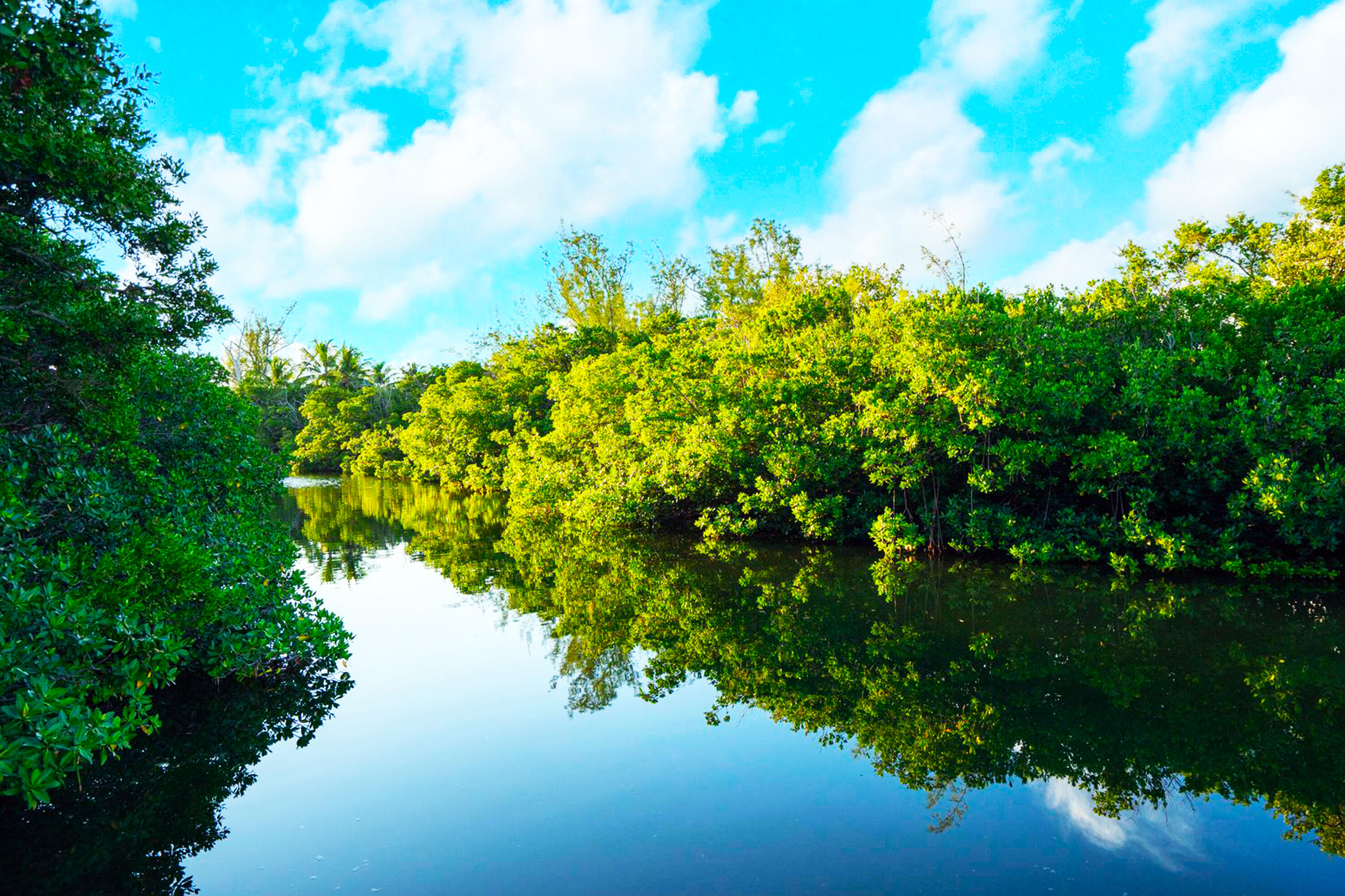 MATECUMBE SANDY BEACH - Residential