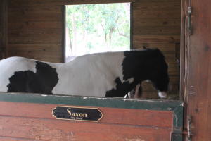 EVERGLADES SUGAR & LAND C - Residential