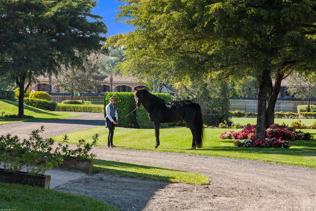 Wellington - Residential