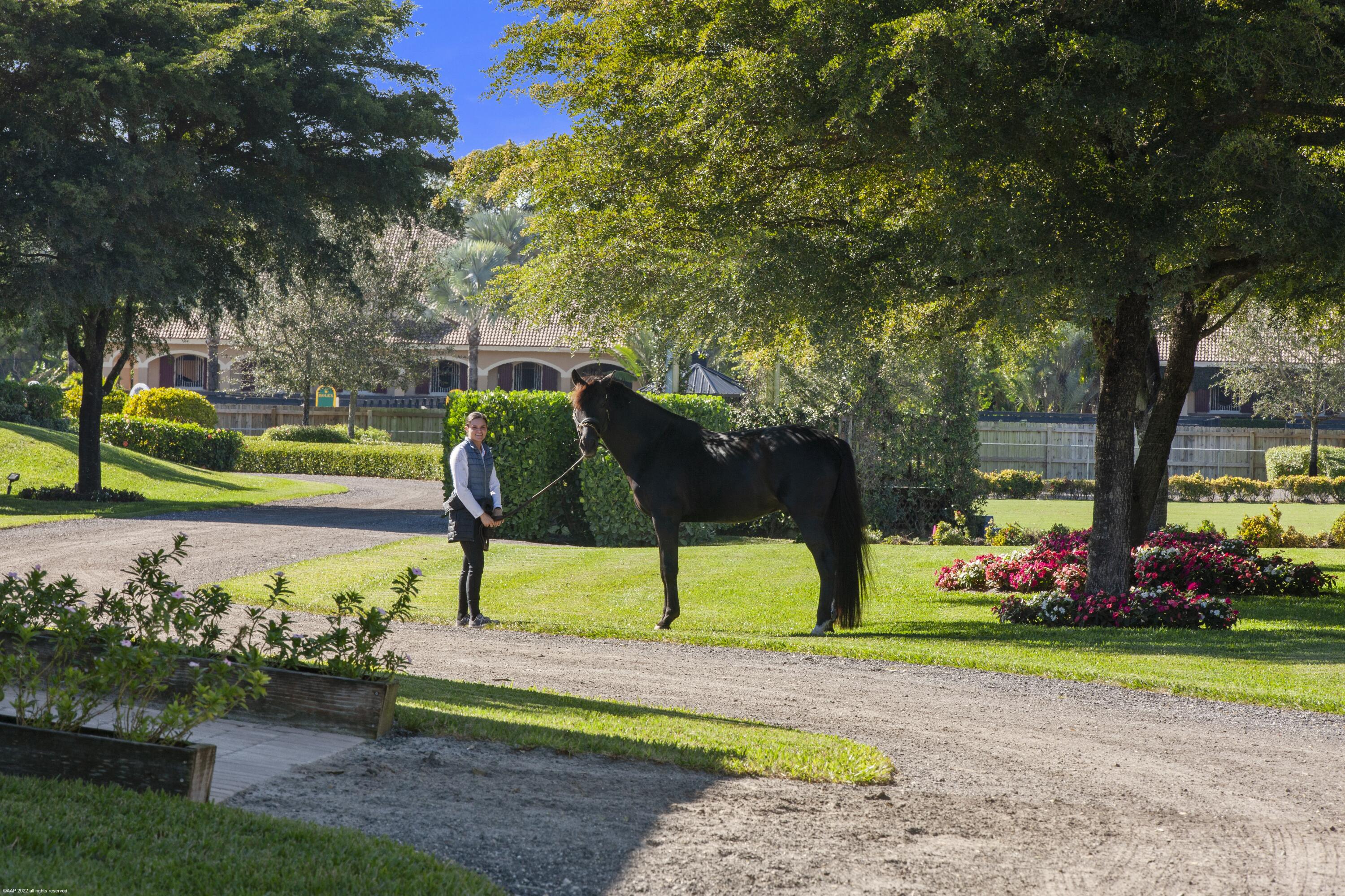 Wellington - Residential