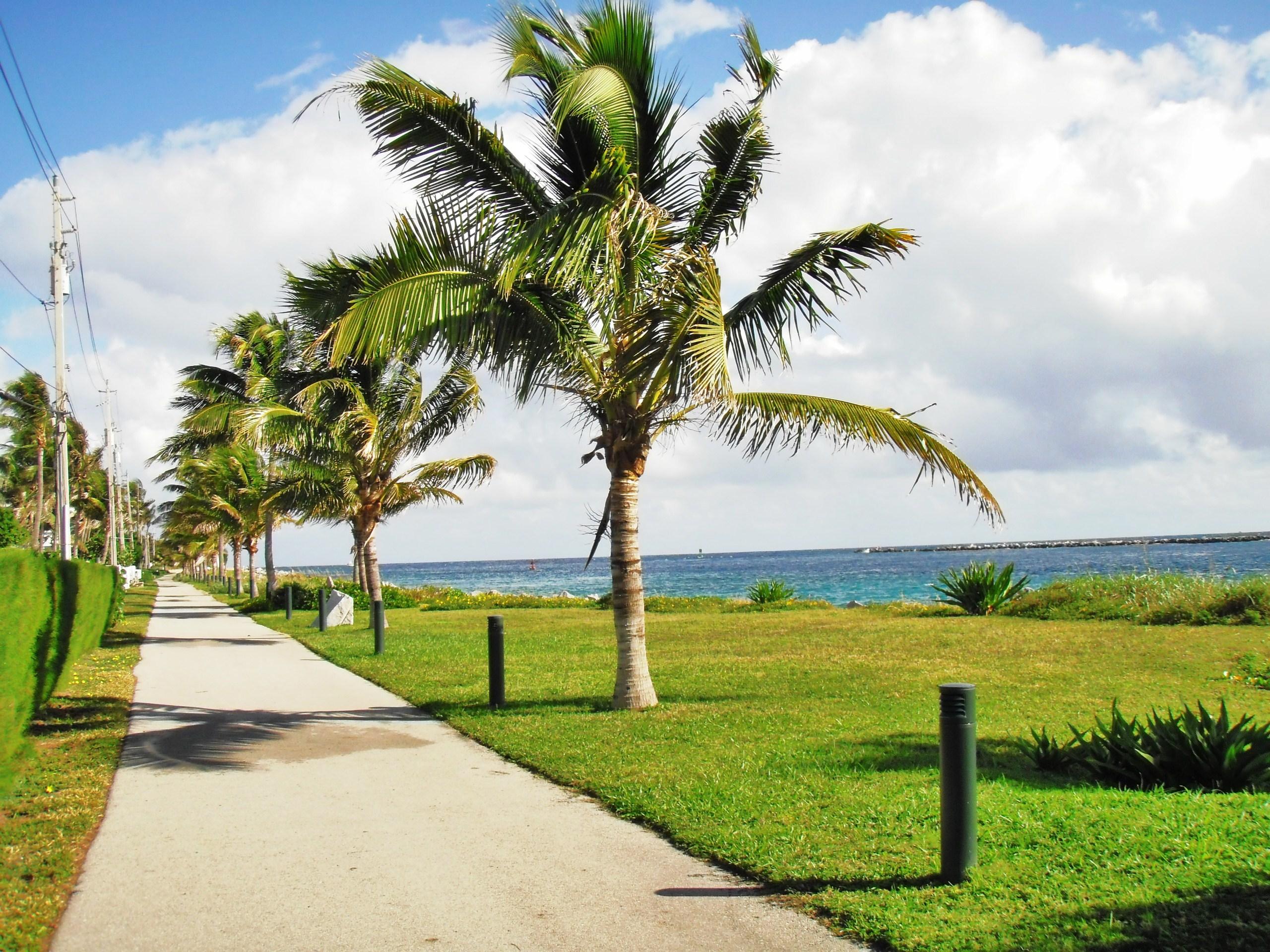 2700 NORTH OCEAN CONDO - Residential