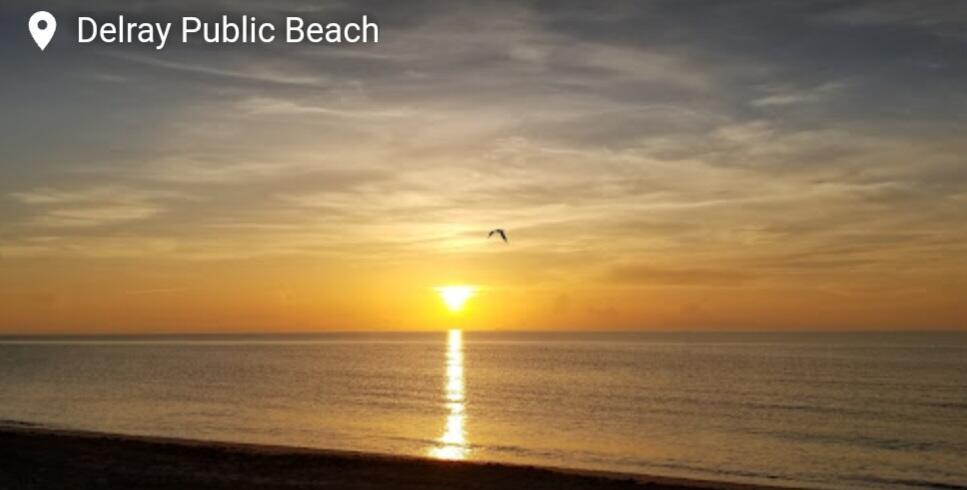 Pines of Delray North Condo - Residential Lease