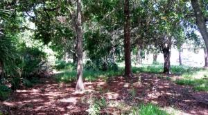 Maravilla S/D - Residential