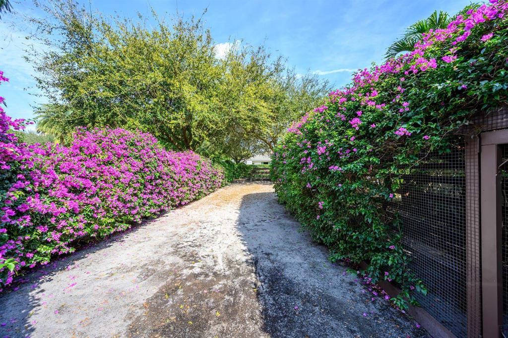 SADDLE TRAIL PARK OF WELLINGTON - Residential