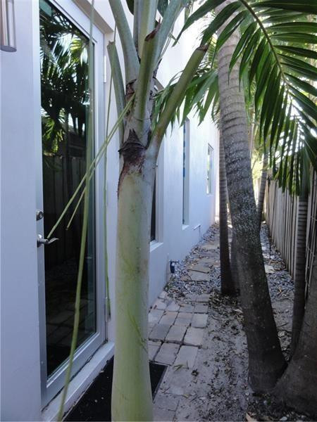 Wilton Manors - Residential Lease