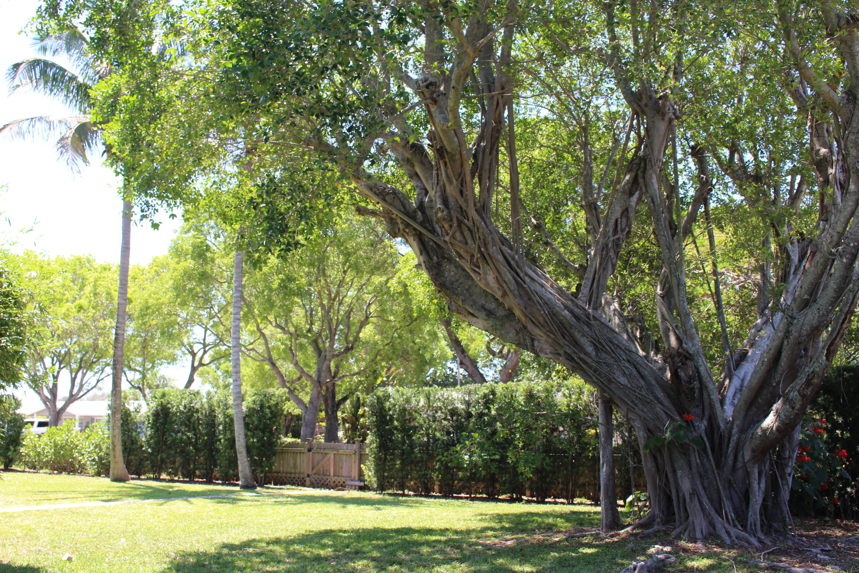 GULFSTREAM ESTATES 2 - Residential Lease