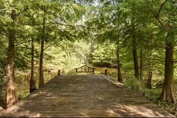 Tall Pines - Residential