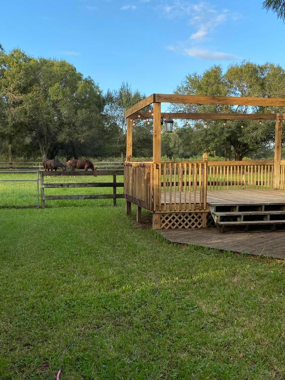 Tall Pines - Residential