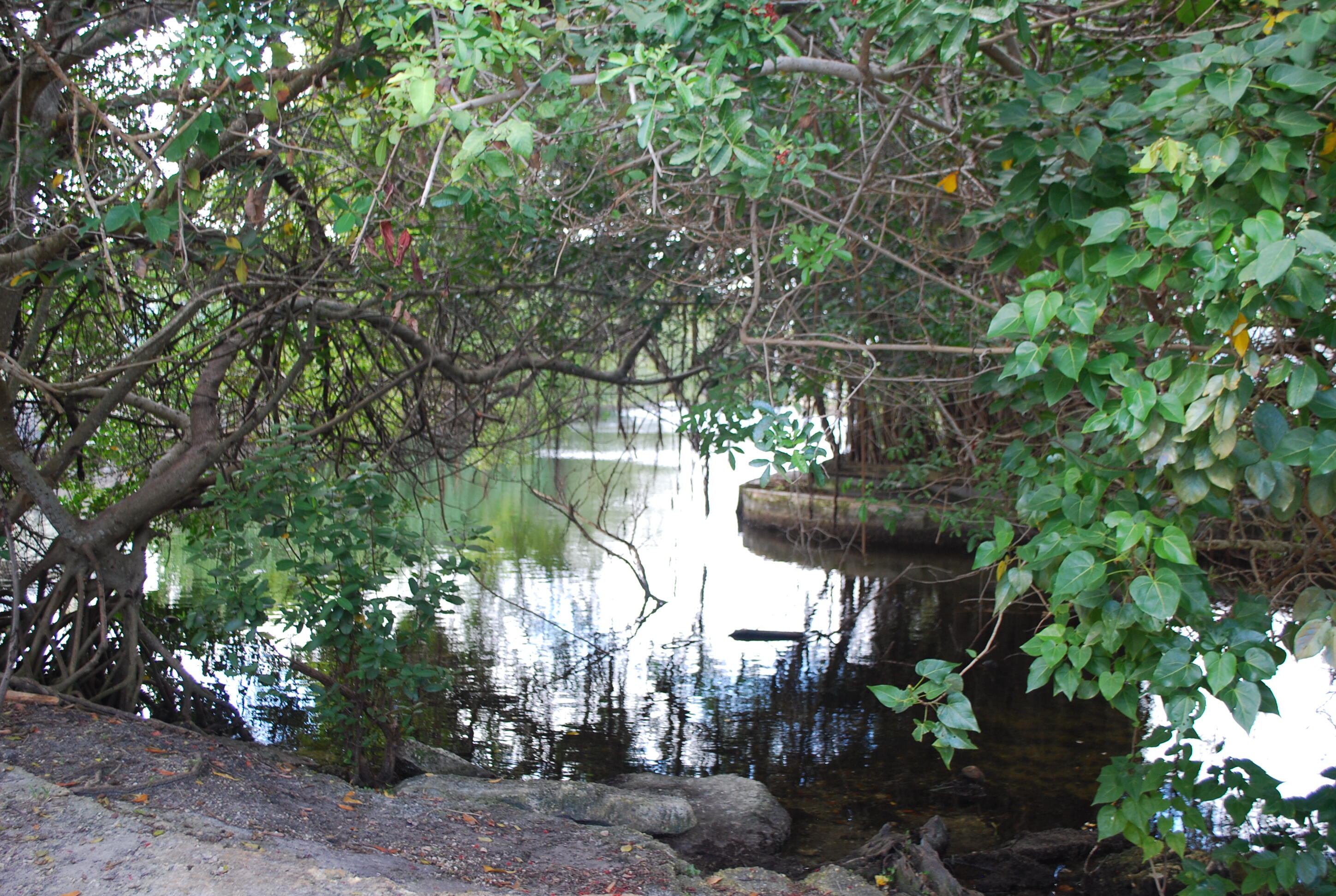 RIVERWOOD SEC 3 - Residential