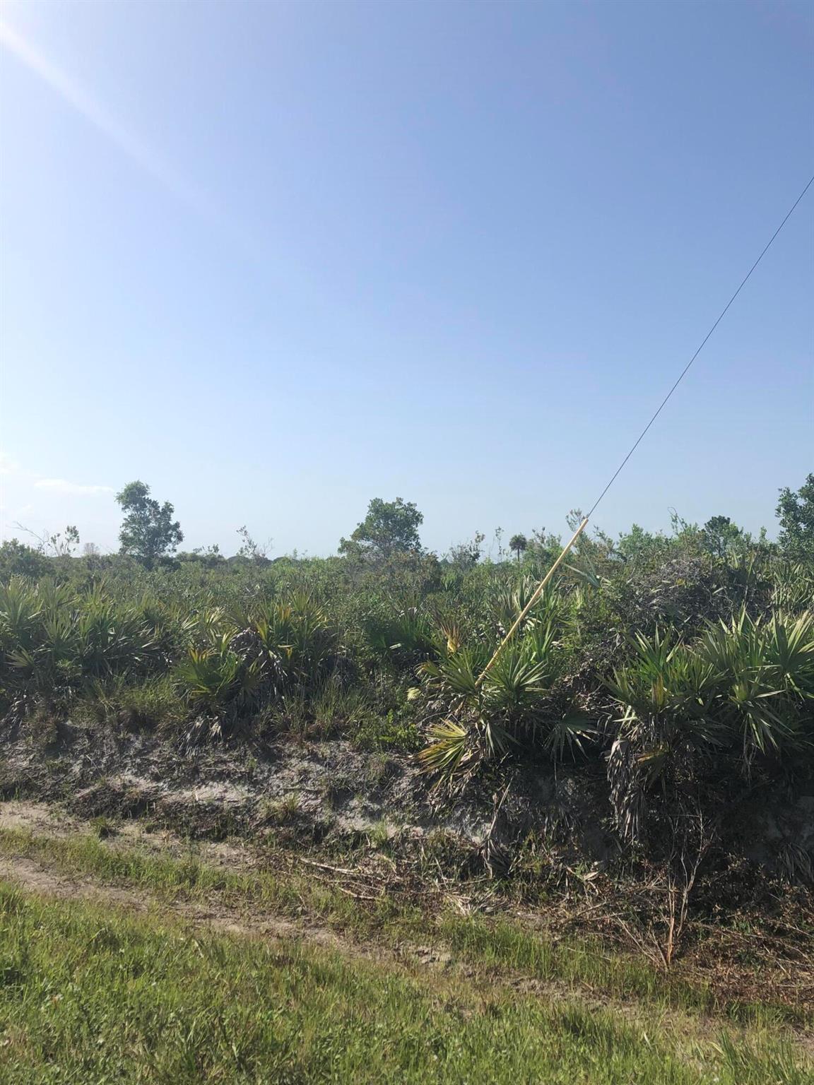 Vikings/Southern Coloniza - Land