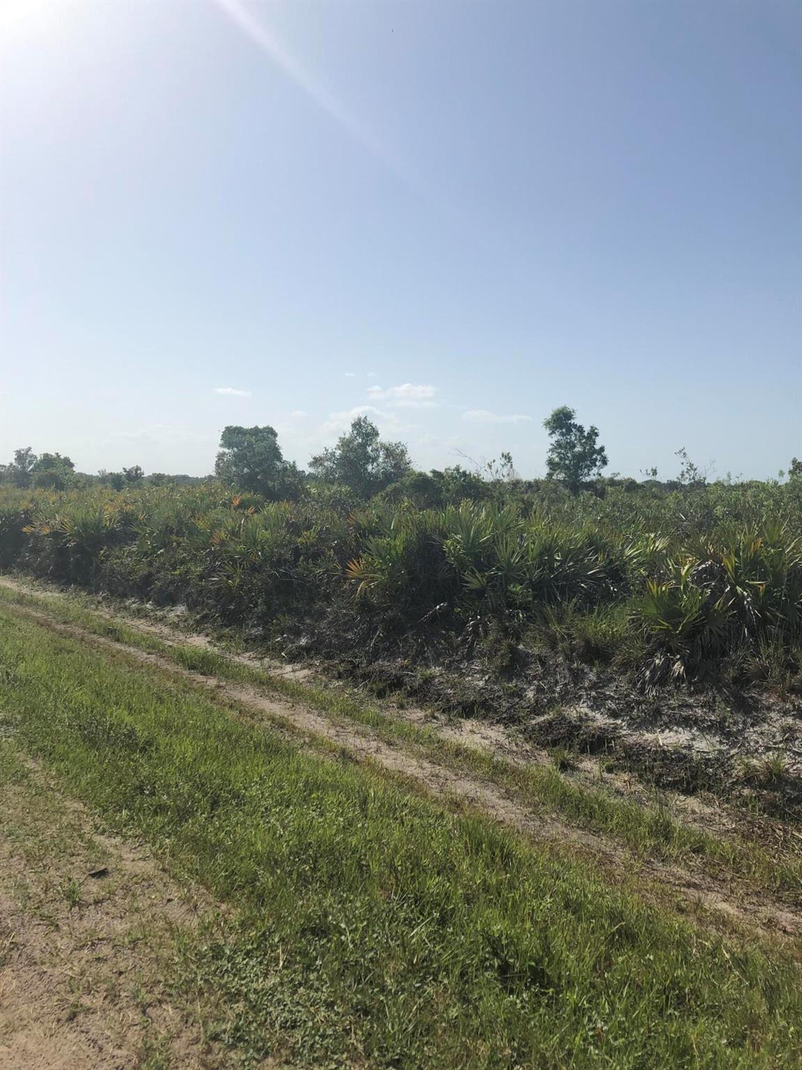 Vikings/Southern Coloniza - Land