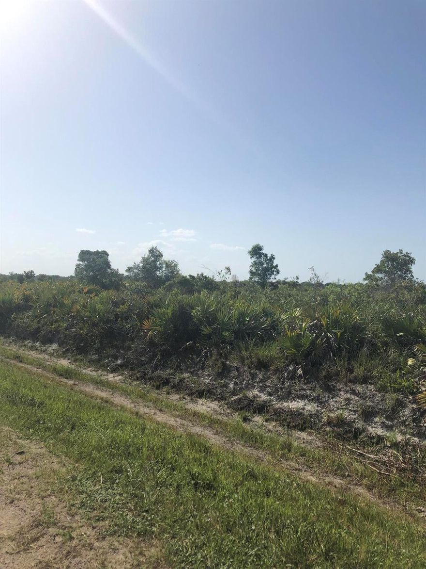 Perfect location for building your dream home or your own private getaway. This lot contains small shrubs/bushes making clearing easy, has utility pole in front, is located only 2 blocks in from paved NW 192nd Ave, and is within a short drive of beautiful Kissimmee Prairie Preserve Park. If you love fishing, horseback riding, camping, and just being around nature, look no further...Viking at Okeechobee is the perfect place for you!