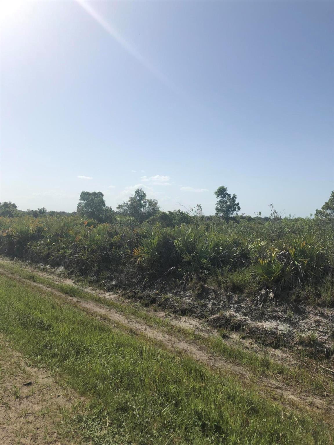 Vikings/Southern Coloniza - Land