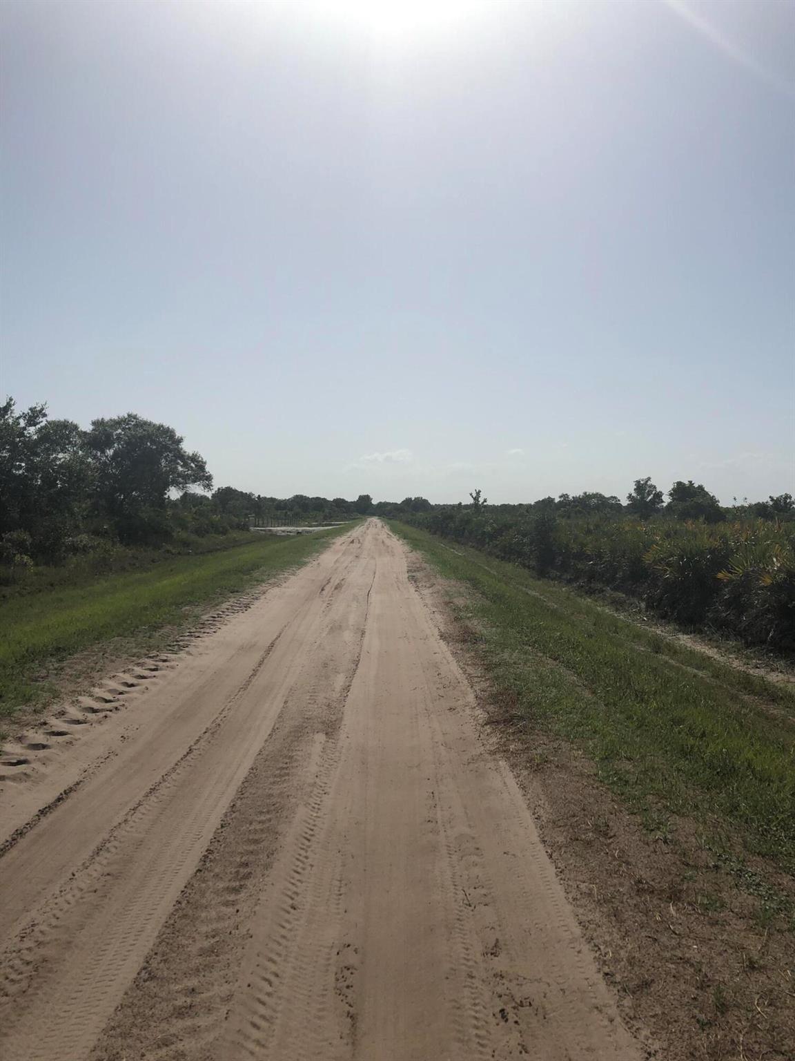 Vikings/Southern Coloniza - Land