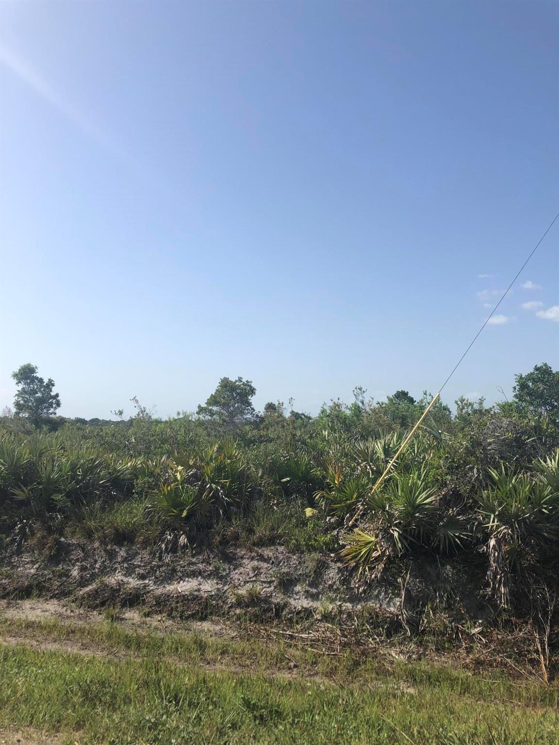 Vikings/Southern Coloniza - Land