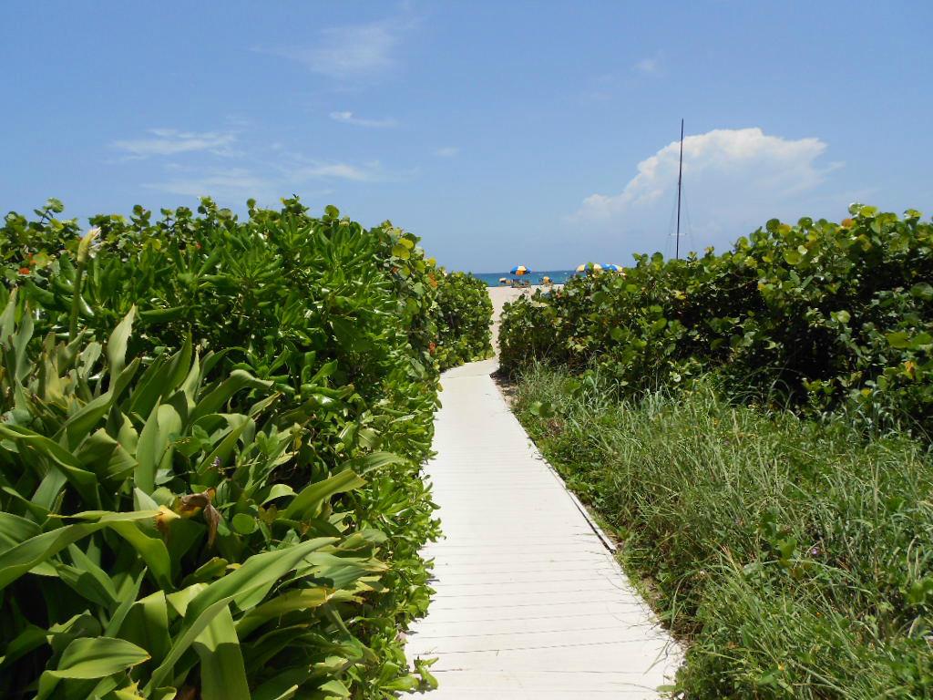 PHOENIX TOWERS CONDO - Residential Lease