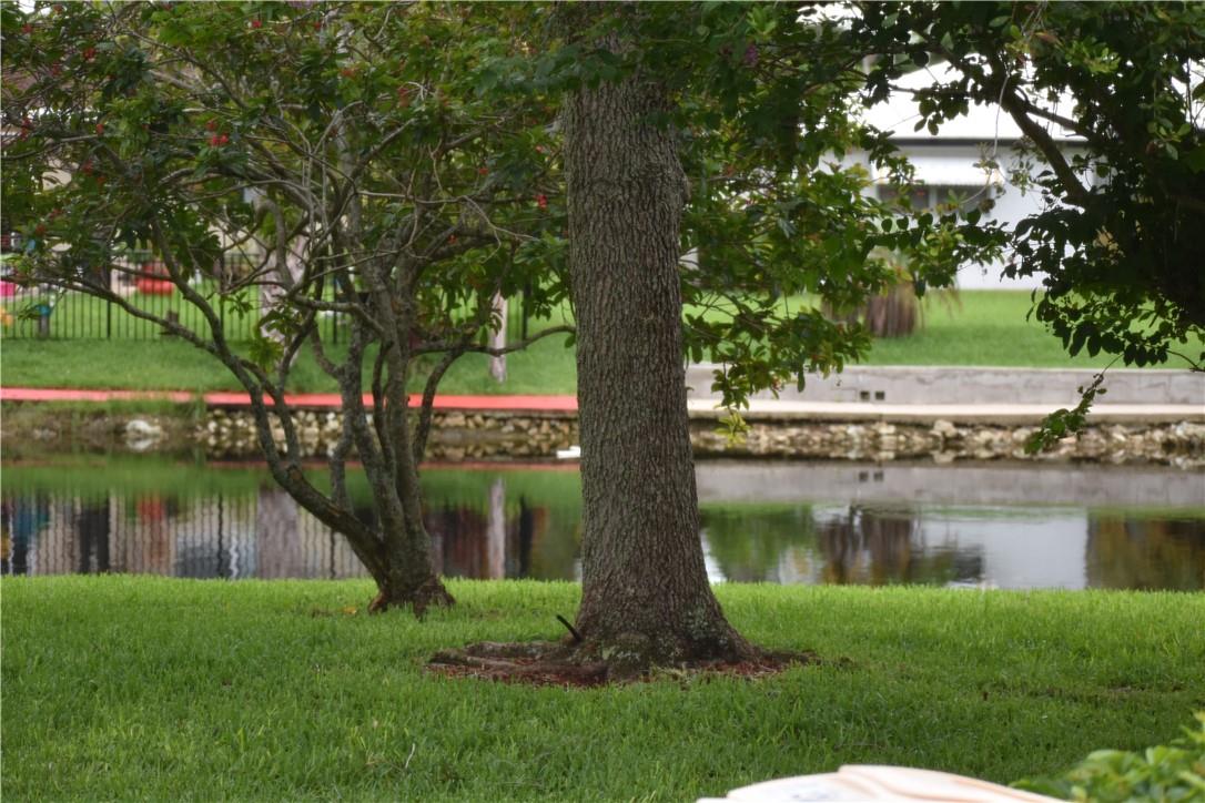 Sanibel - Residential Lease