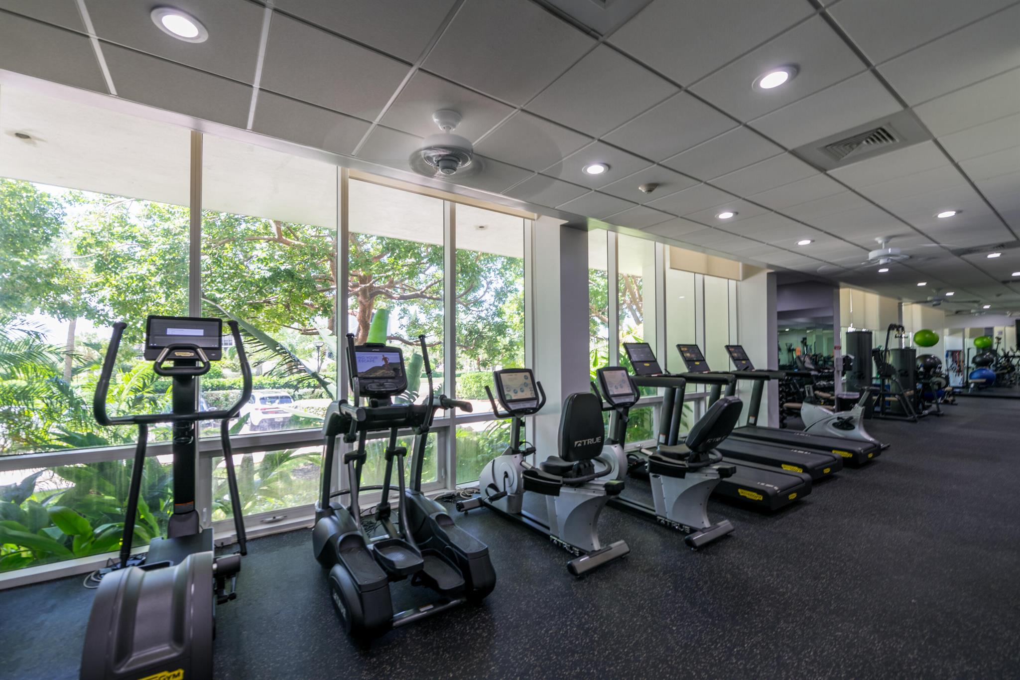 WHITEHALL CONDO - Residential