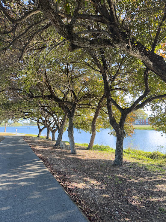 LAKESIDE POINT - Residential