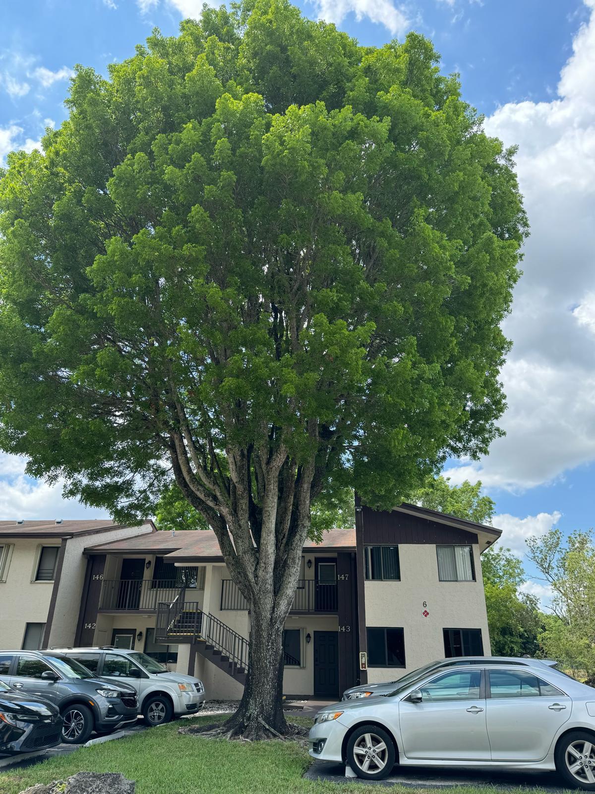 LAURELS AT MARGATE CONDO - Residential