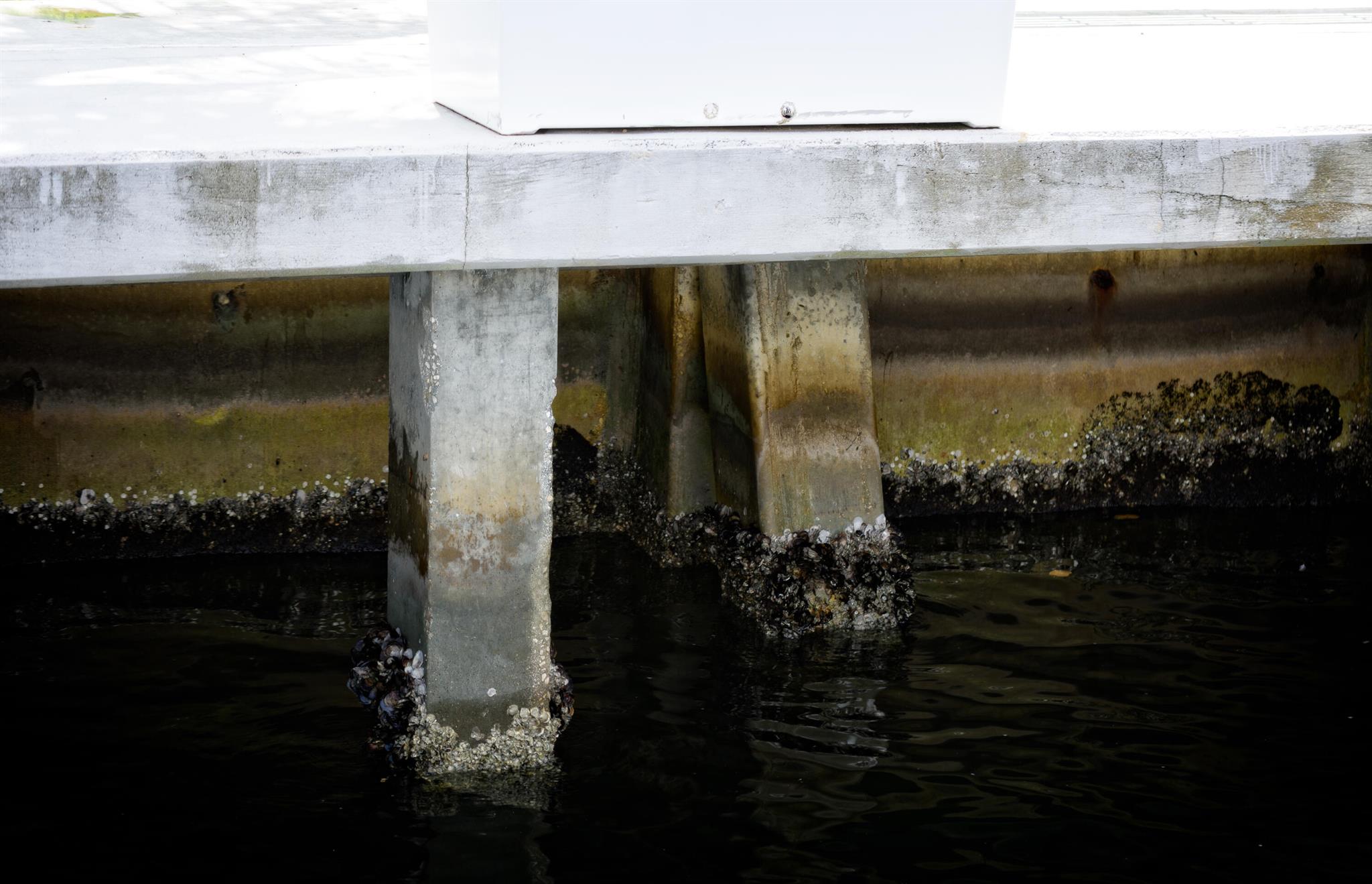 GOLDEN GATE ESTATES & MAR - Residential