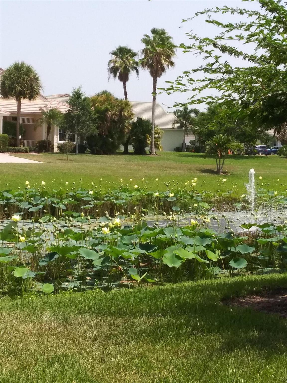 Magnolia Lakes - Residential