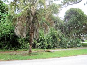 Vacant lot in CRA. Lot is 107 foot wide by 202 foot deep. No HOA fees. Top rated Martin County Schools. Close proximity to Intracoastal Waterway, Public Boat Ramp, Fishing Pier, Picnic Tables, and Bike Paths & Tennis Courts in Local Parks. Short distance to Atlantic Ocean & pristine Hobe Sound Beach. Come visit Historic & Quaint Hobe Sounds' Arts & Holiday Festivals, Restaurants, Art Galleries, Gift Shops, Salons, Medical & Dental Offices, and Banks & Places of Worship. This area boasts premier golf courses, boating & unspoiled State Parks. Just a short distance to I-95 to take you to Jupiter, Scripps, Abacoa & Baseball Stadiums. Close to Stuart, Palm Beach & Airports.
