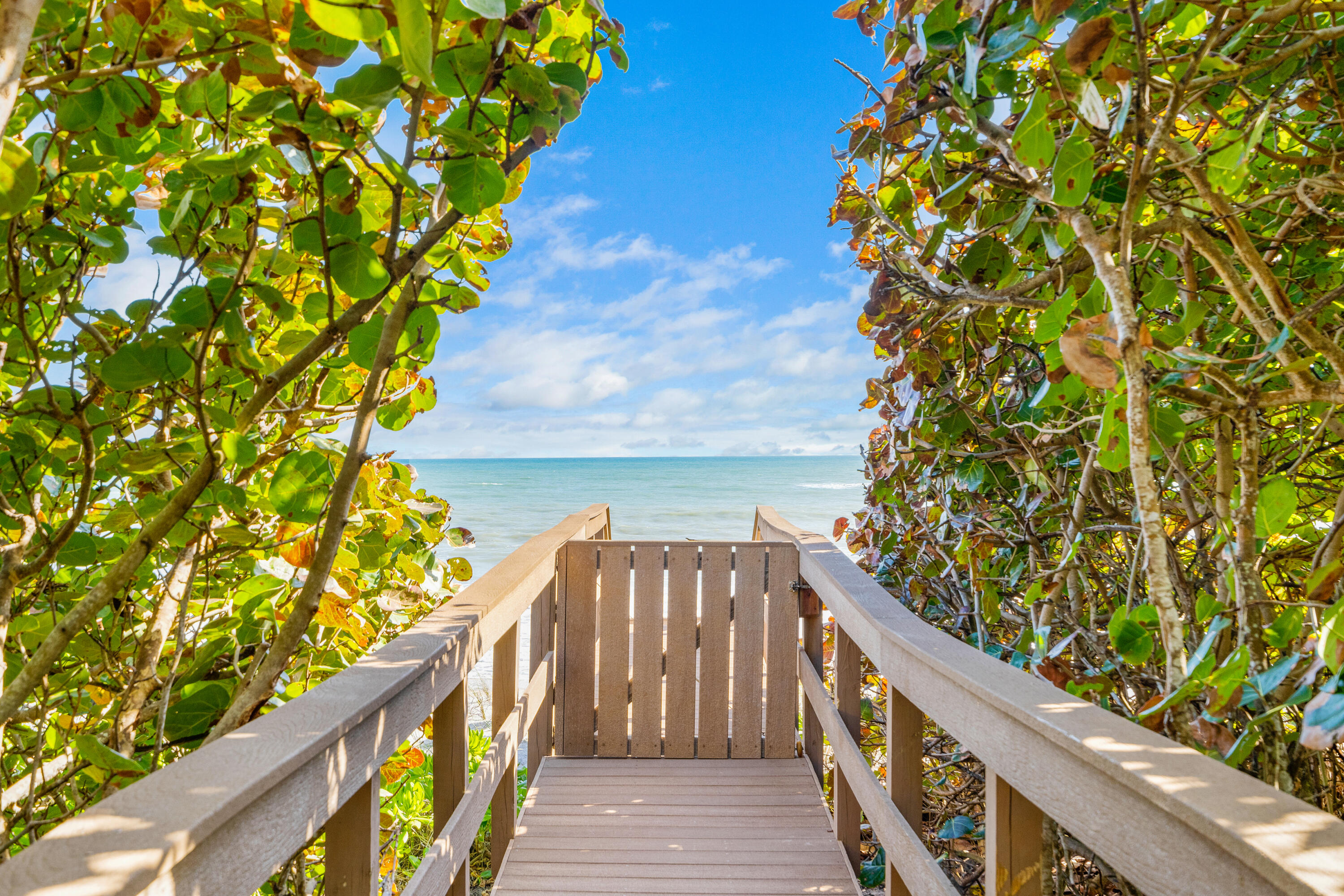 Orchid Island - Residential