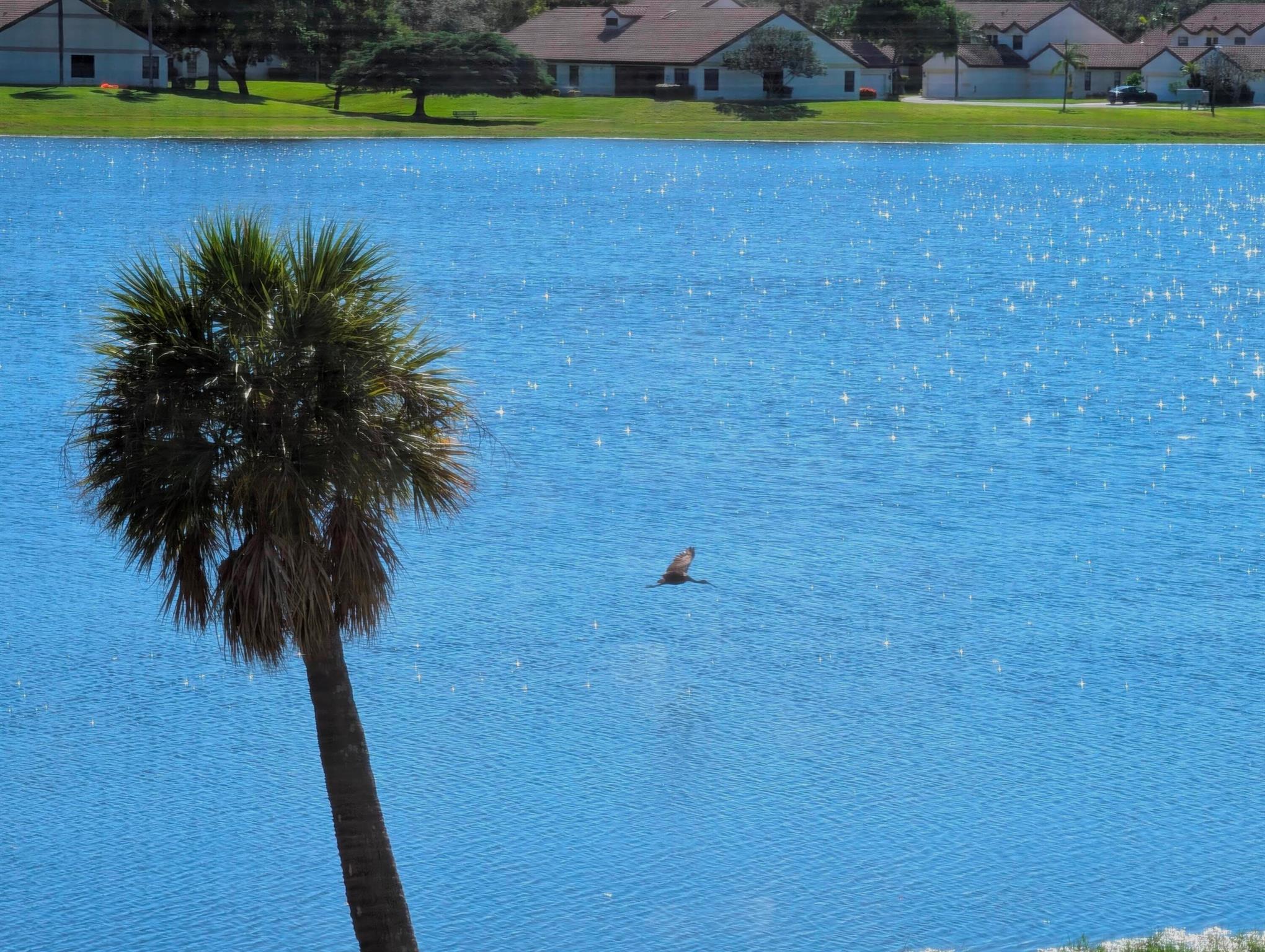 LAKE WINDWOOD CONDO - Residential
