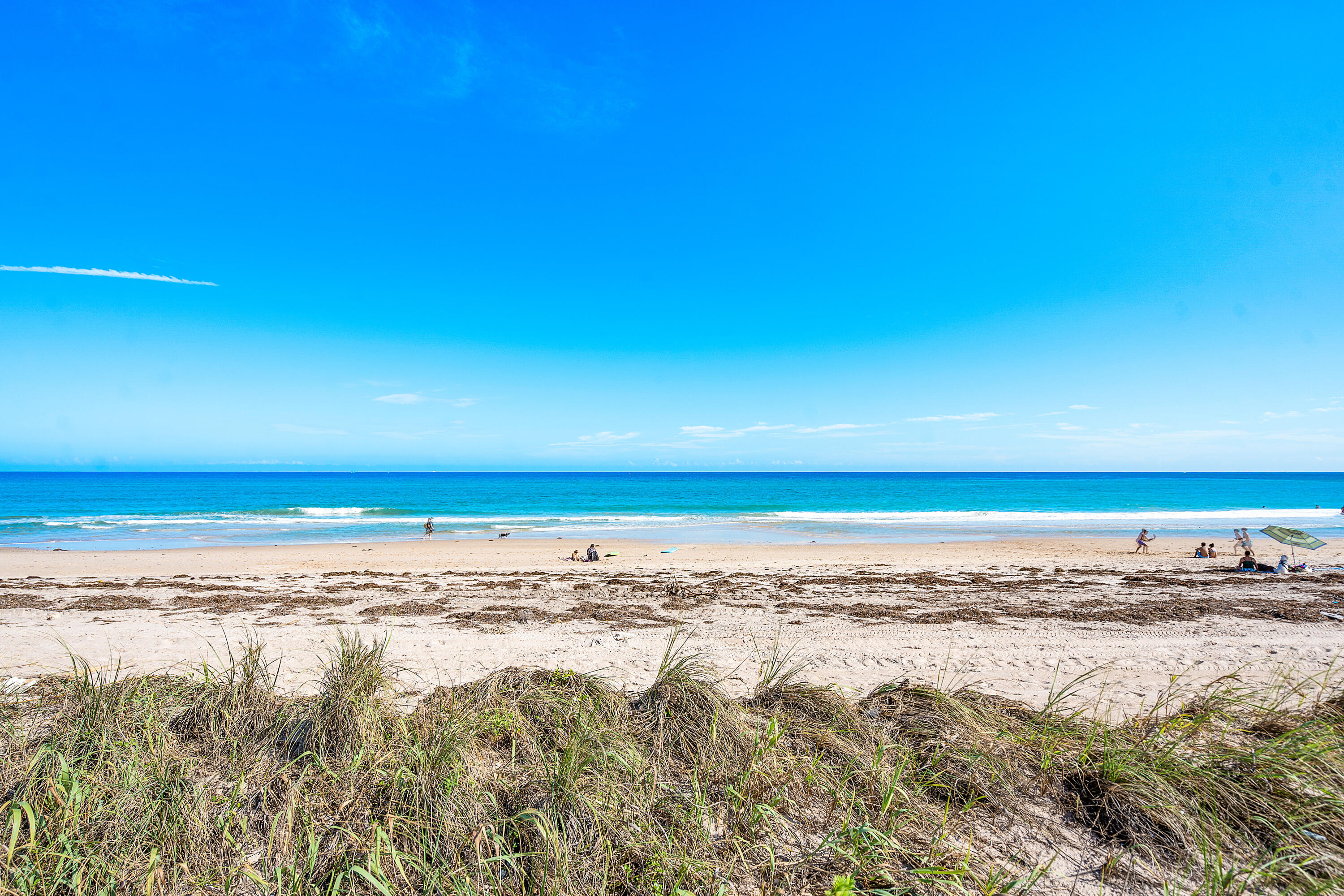 GEDNEY VS PIERSON - Land