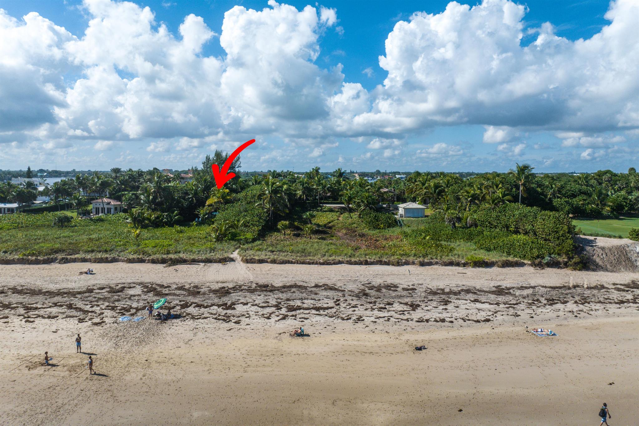 GEDNEY VS PIERSON - Land