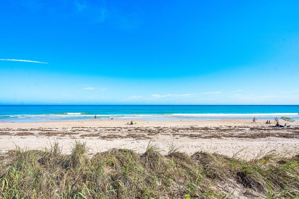 GEDNEY VS PIERSON - Land