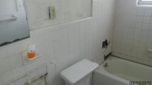 pinetree - Residential