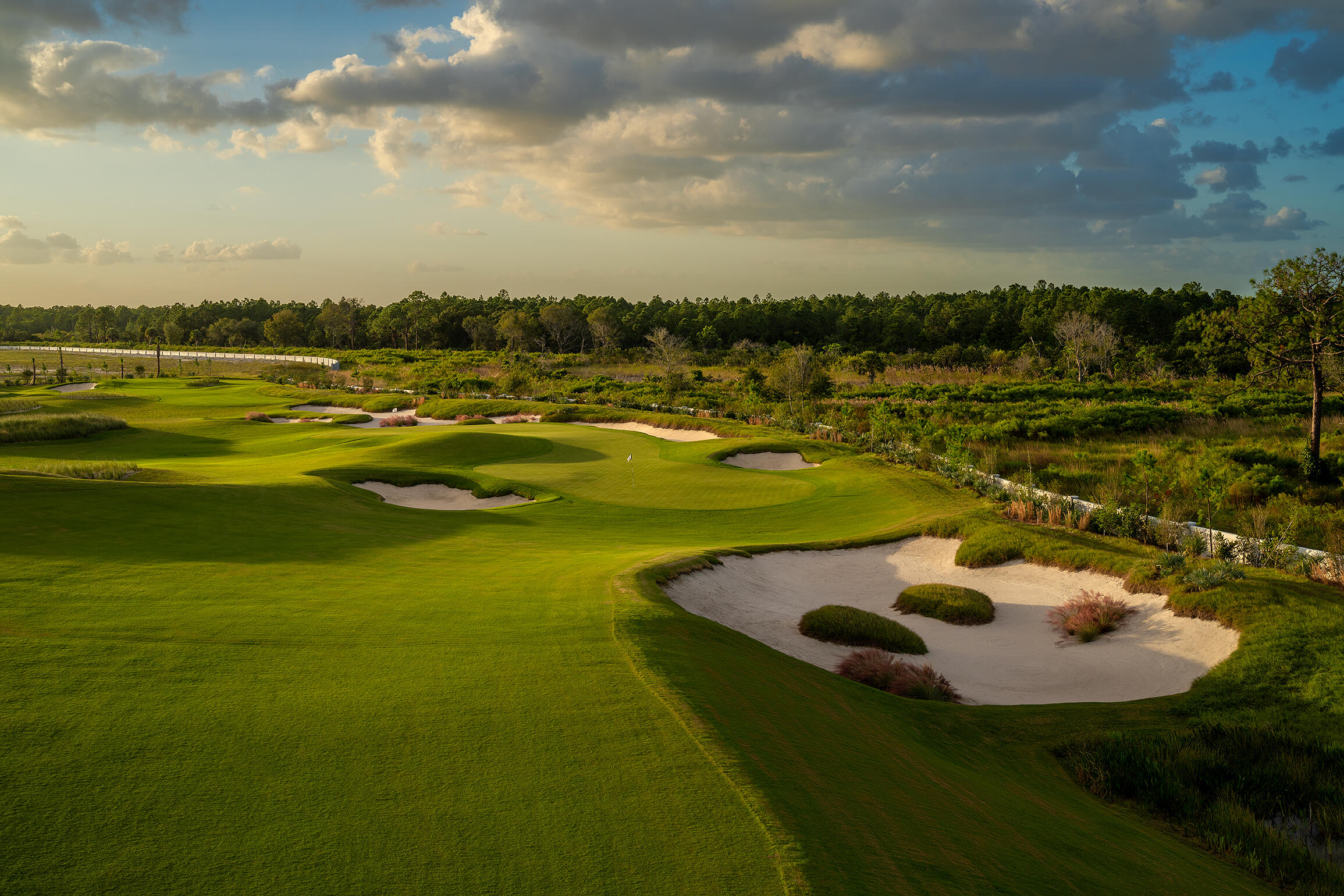 PANTHER NATIONAL AT AVENIR POD - Residential