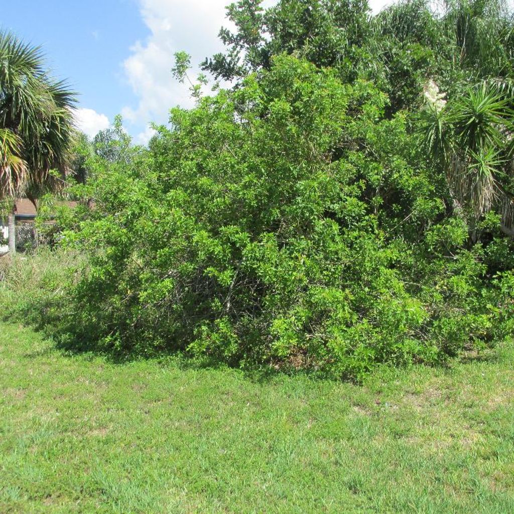 Photo of 1613 SE Grapeland Avenue, Port Saint Lucie, FL 34952 (MLS # R11093594)