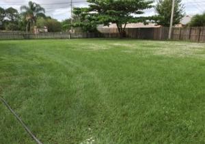 PORT ST LUCIE SECTION 40 - Residential Lease